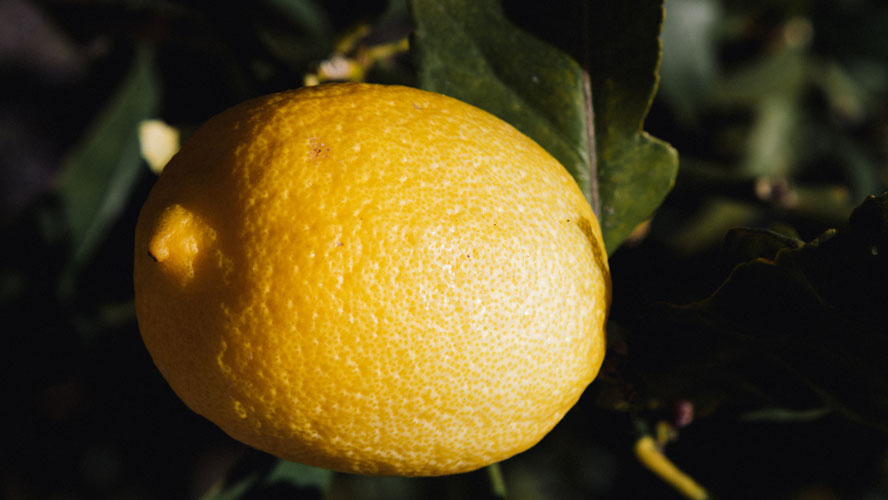 Citronensäure – so entlastet das Mittel deine Haut